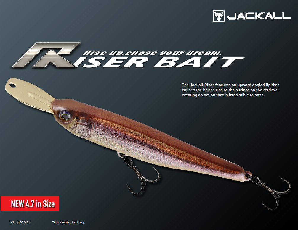 riser-bait-01